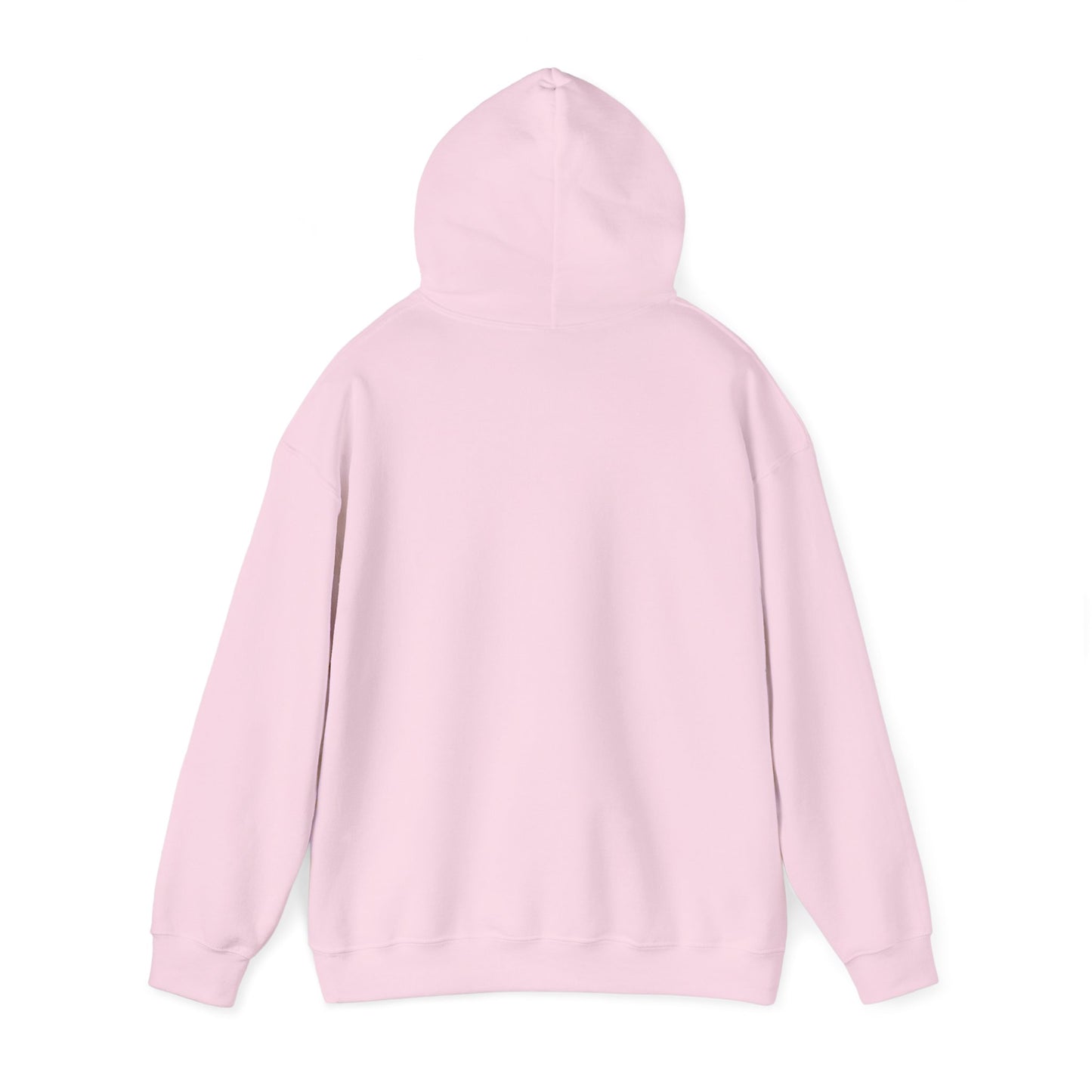 Don't Destroy Your Cyber Truck Hoodie