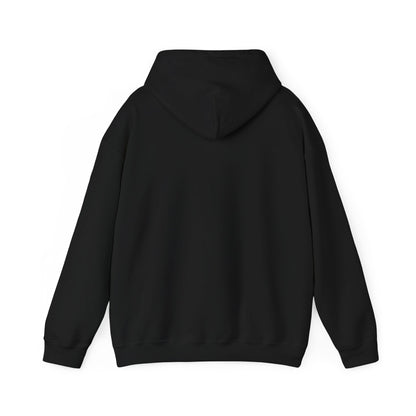 Don't Destroy Your Cyber Truck Hoodie