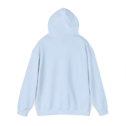 Don't Destroy Your Cyber Truck Hoodie